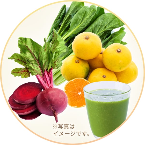 【コラボ特別商品】ジュース用オーガニック野菜＆果物セット