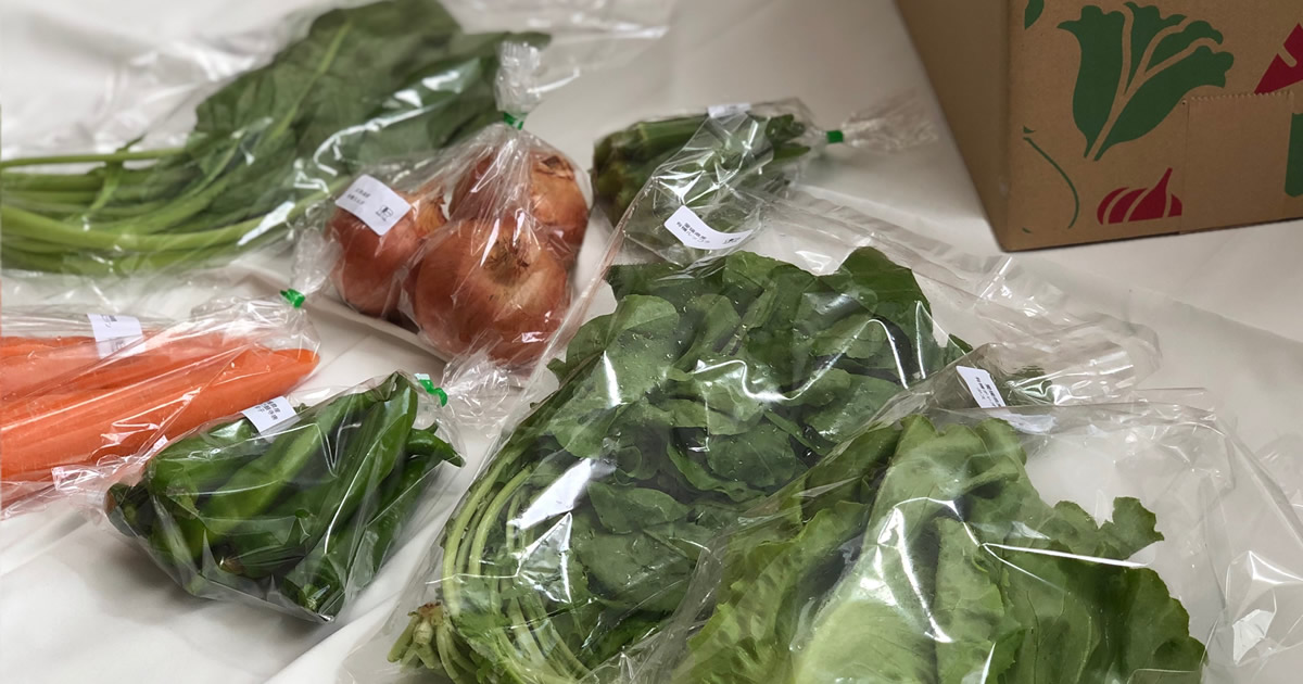 管理栄養士が紹介！7種類の野菜1箱が届いたときの使い方、栄養素や保存方法