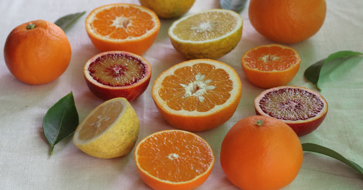 多品種産地としても知られる中島では、50品種以上の柑橘