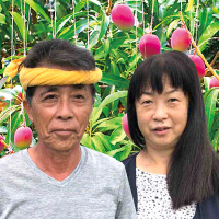 有機マンゴーが沖縄・宮古島でNo.1に！35年続くマンゴー農家夫妻のこだわりと想いに迫る砂川夫妻