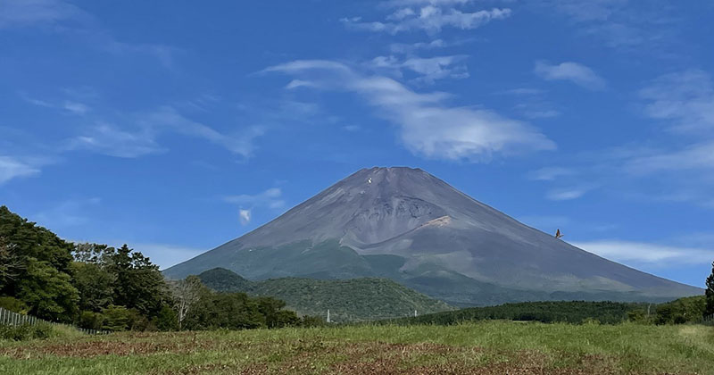 富士山を背景に農作業