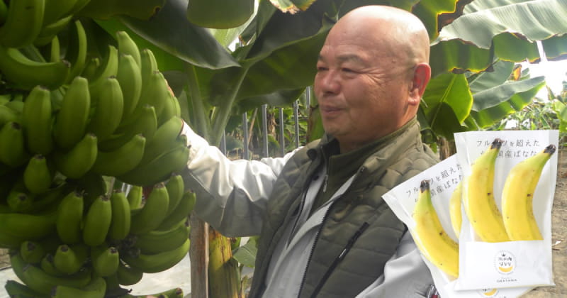 皮ごと食べても安全な国産バナナ！家造りのプロが岡山の新名物に見据える「幻のバナナ」とは？