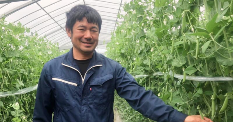 高知県でトマトを作る有機農家