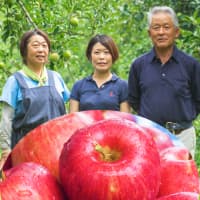 個性豊かなりんごたち！海外生活から長野で農家に「両親が守ってきた安全安心なりんご」を伝えたい