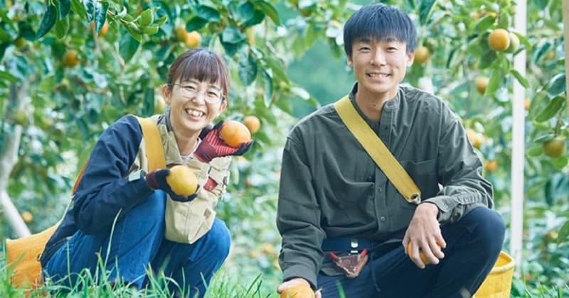 超大玉極甘柿を狙って“攻める”！フルーツ王国福岡県うきは市のサクサク食感「太秋柿」はいかが？