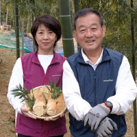石川県初の有機JAS認定たけのこ農園が栽培する 有機たけのこ「色白美人」～極上の春の味わい～