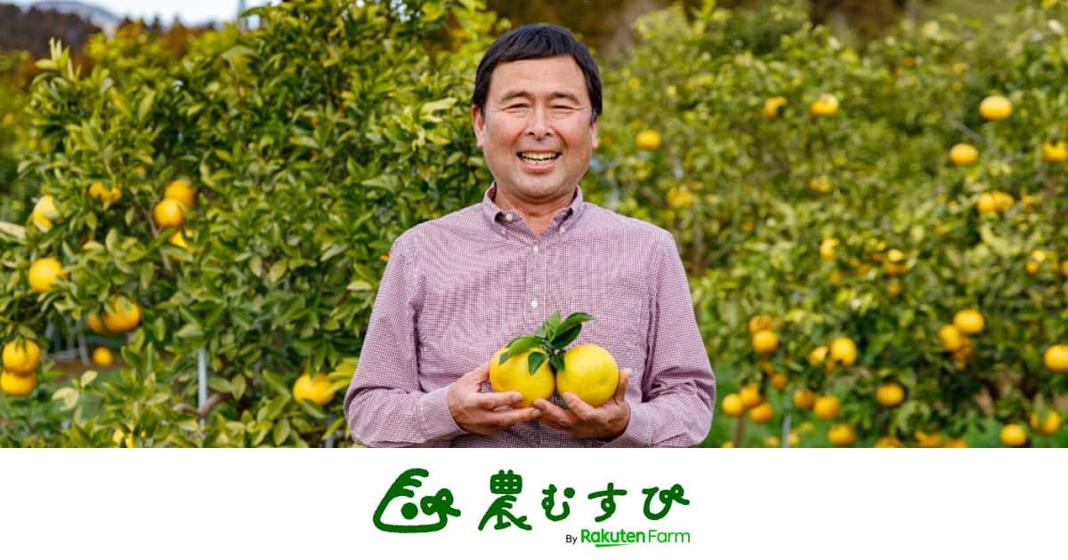 宮崎直送の国産グレープフルーツ＆日向夏！チャレンジ続ける４代目柑橘農家の“突破力”に迫る