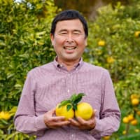 宮崎直送の国産グレープフルーツ＆日向夏！チャレンジ続ける４代目柑橘農家の“突破力”に迫る緑の里りょうくん