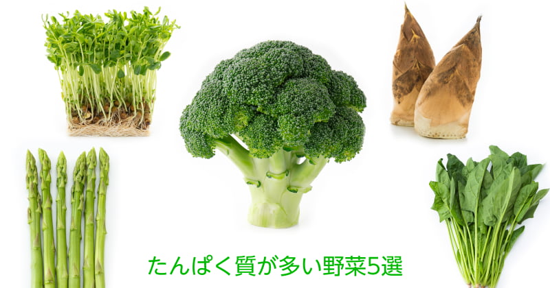 タンパク質を多く含む野菜5選