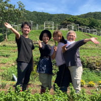 棚田の花段でハーブ栽培！ときめきを届けるアーティストやアロマセラピスト達の農業への心躍る挑戦